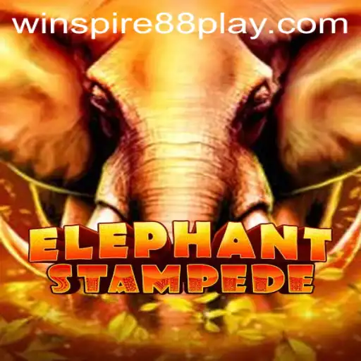 ElephantStampede: A Thrilling Adventure with WinSpire88